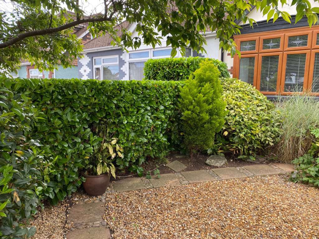 Why hire an&nbsp;expert?